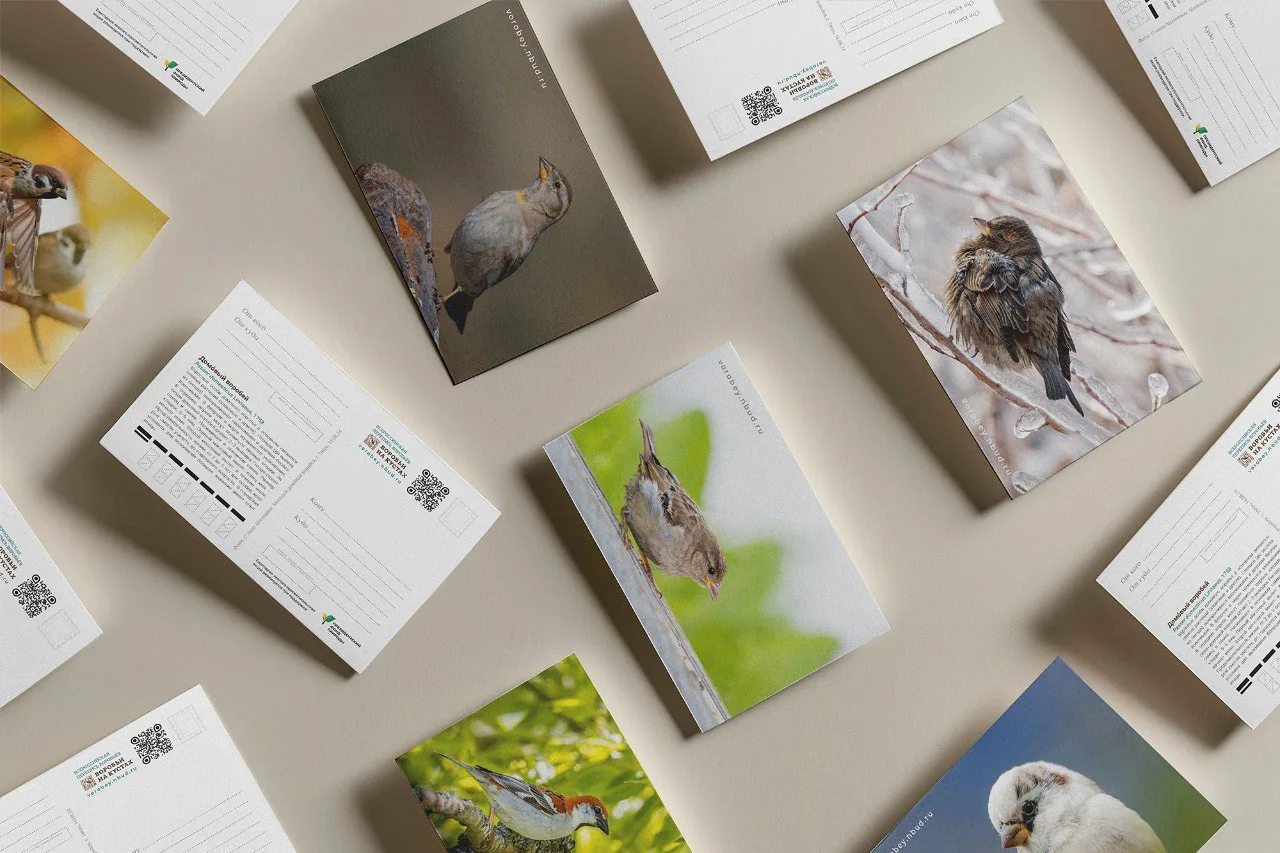 Всероссийская перепись воробьев